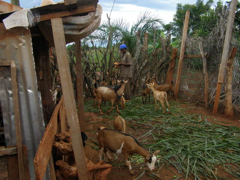 img-terrain-agricole-maison-du-gardien-et-forage