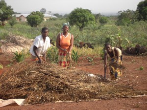 img-terrain-agricole-maison-du-gardien-et-forage